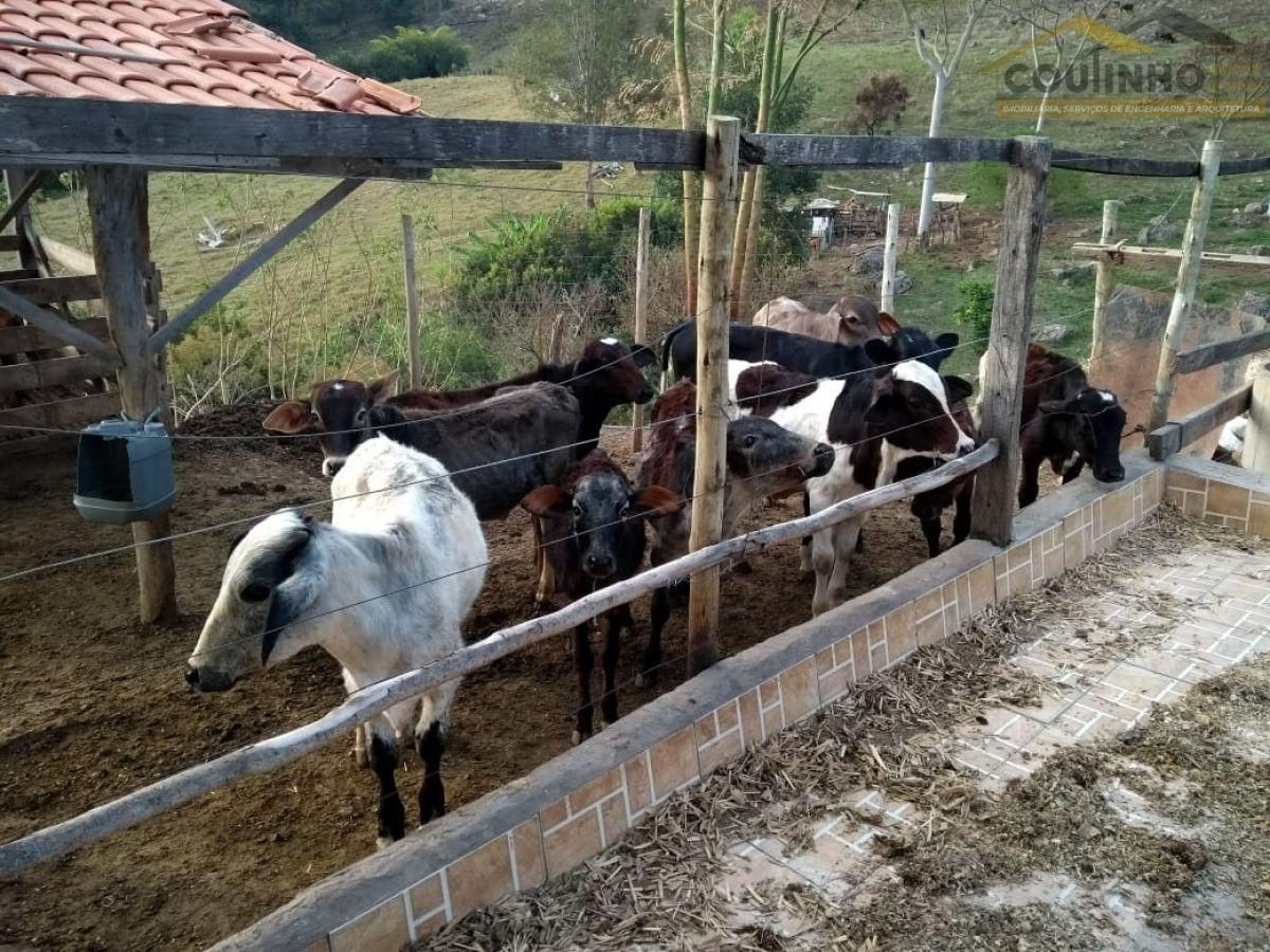 WhatsApp Image 2018-08-24 at 15.45.00 (1).jpeg